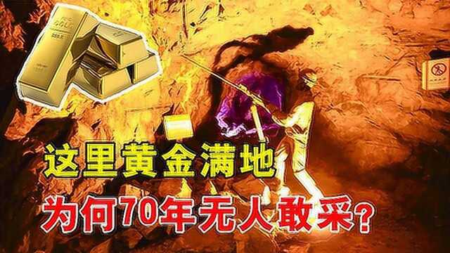 俄罗斯这里黄金满地,矿藏量高达4500吨,为何70年都没有人挖?