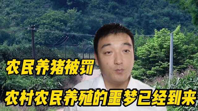 农民养猪被罚十万元.是不是农民养殖的噩梦已经到来?