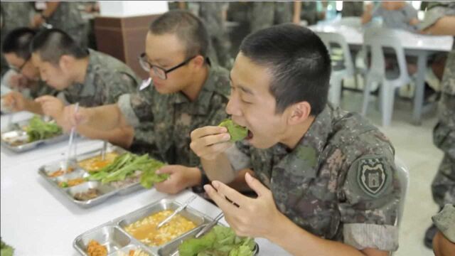 各国军队都吃啥?中美俄伙食最好,而韩国的伙食却比印度的还惨淡!