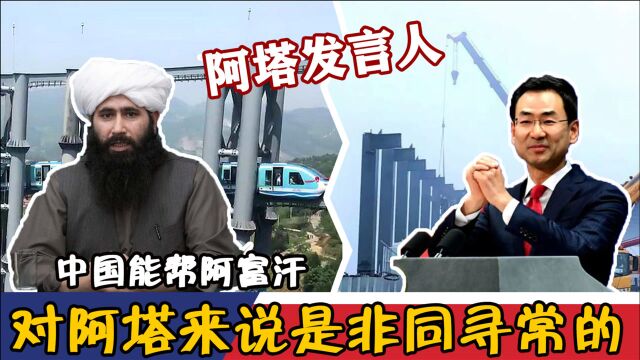 阿塔发言人:中国能帮阿富汗,这对阿塔来说是非同寻常的机会