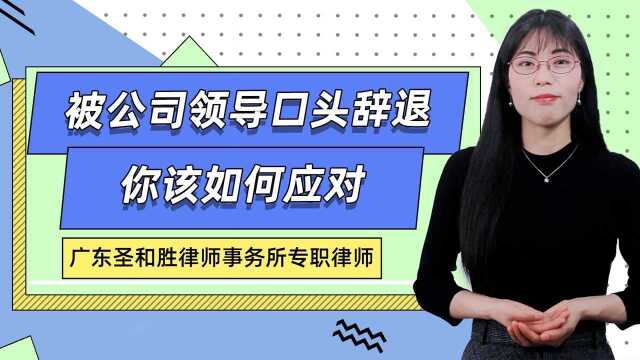 被公司领导口头辞退,你该如何应对?