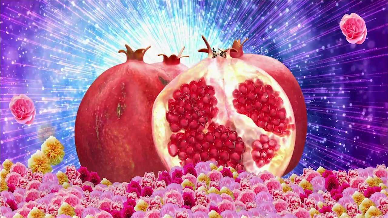 f2944_石榴民族团结像石榴籽一样抱在一起