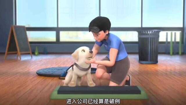 动画《Pip》:小狗身材矮小,却想成为导盲犬帮助人类,暖心励志