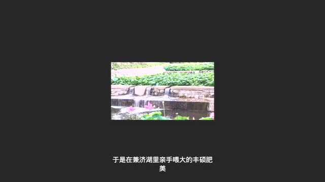 我的大学vlog|大学伴我成长