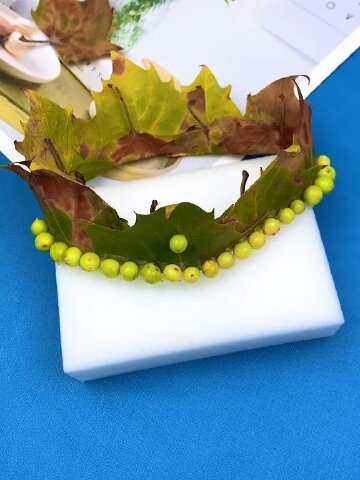 用路边的树叶做了个漂亮的皇冠成长力计划手工创意手工