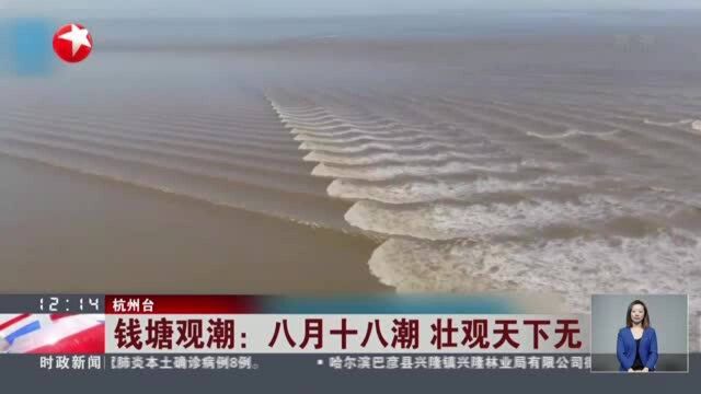 钱塘观潮:八月十八潮 壮观天下无