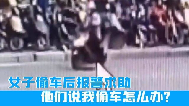 无理辩三分!女子偷车后报警求助,“他们说我偷车怎么办?”