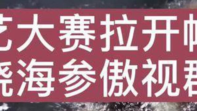 厨艺大赛正式开锣,曾念安的葱烧海参冠绝全场.#葱烧海参 #美食大比拼