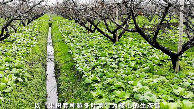 江苏无锡惠山区:荣誉之地 富庶之乡