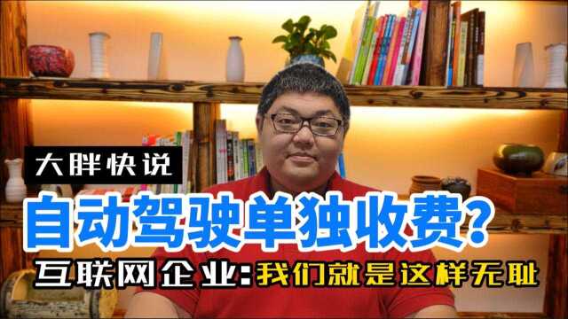 大胖快说|扒一扒新势力车企软件付费的“无耻”行径