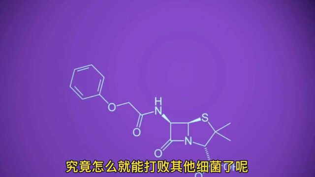 抗生素的治病原理是什么?看过之后会明白,感冒时你会选择抗生素吗?