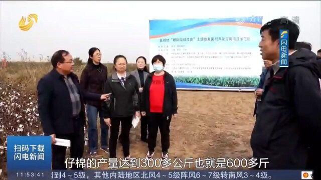 平均亩增产49公斤!微生物技术改良盐碱地取得突破