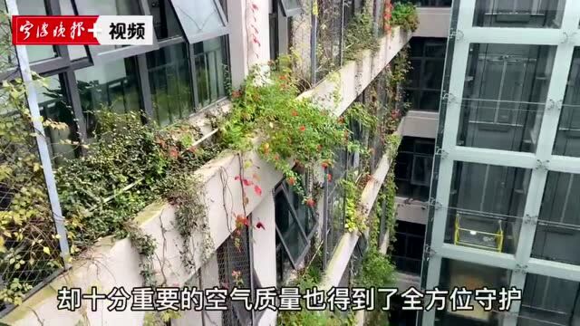 寻访宁波节能样本①:这座“绿色建筑”,连外国专家都点赞!记者探访宁波唯一“三星绿建”运行标识公共建筑