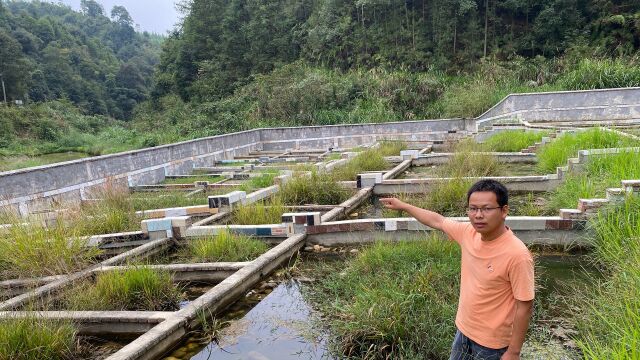 小伙在山脚下挖了100个池子,养殖不起眼的小动物,年收入100万