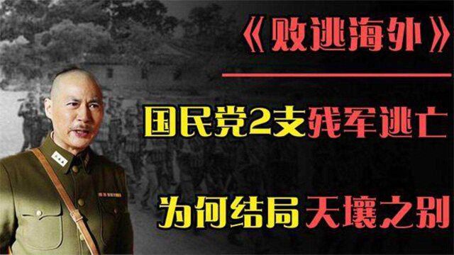 解放战争时期,国民党军2支残军逃亡境外,最终结局怎样