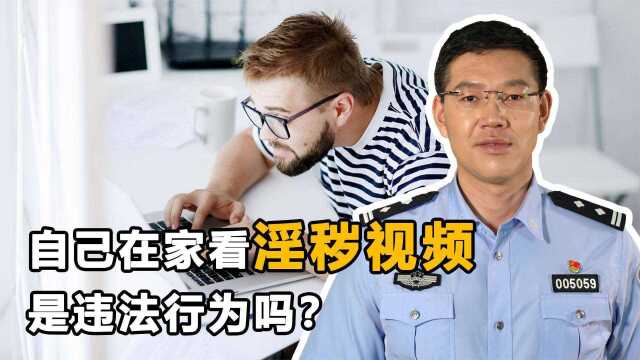 自己在家看淫秽视频违法吗?会被网警抓起来吗?这些法条你要知道