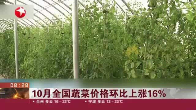 10月全国蔬菜价格环比上涨16%