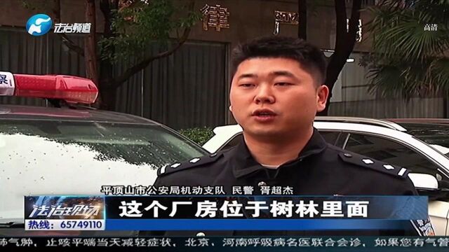 法网恢恢!平顶山警方成功侦破侵犯著作权案 抓获60余人!