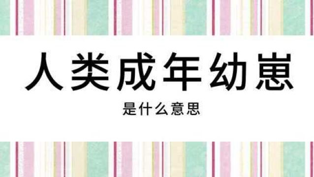 网络用语流行词汇讲解:人类成年幼崽蹲道歉