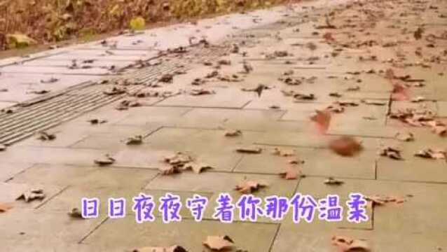 等你我等了那么久