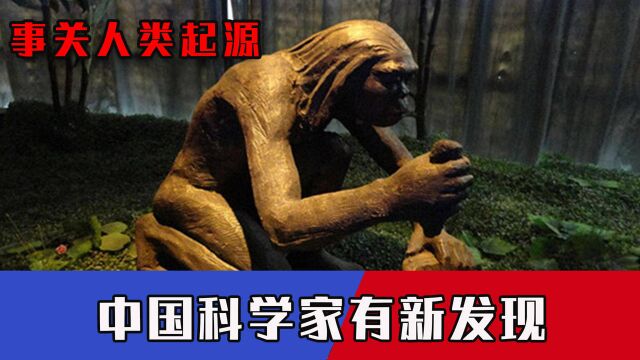 事关人类起源,800万年前中国古猿成全球焦点,中国科学家有新发现