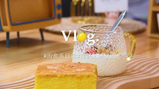 治愈系VLOG丨自制一杯健康无糖的低脂酸奶