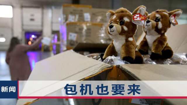 中国商品获海外认可,美企包机要来中国进货,一趟成本200万美元