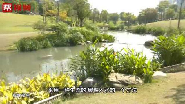 公园会“喝水”!还能露营野餐遛娃,福州这个打卡点你去了吗