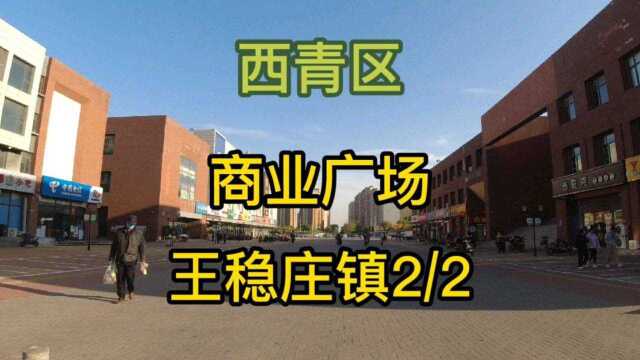 天津市西青区第《2》个视频,王稳庄镇实地考察