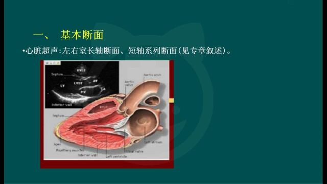 2021阿虎医考超声波主治中级医学专业知识考试培训