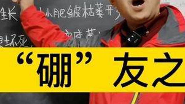 好“硼”友之歌!硼肥的主要功能及缺硼的表现!