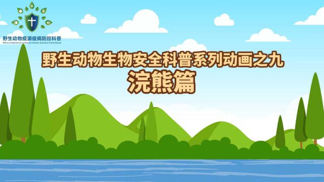 野生动物生物安全科普系列动画⑨|浣熊篇