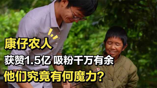 康仔农人圈粉1600余万,获赞1.5亿,康仔和老小孩究竟有何魔力?