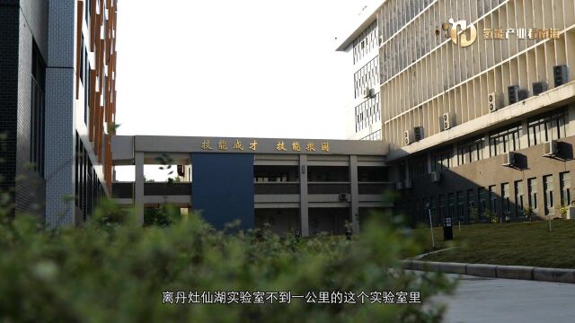 南海积极推动氢能产学研用平台建设