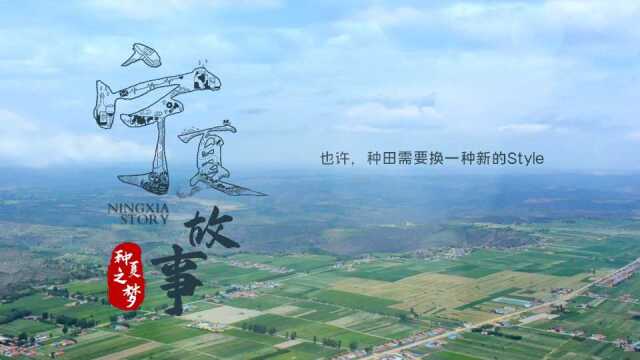 三个青年的“种”夏之梦:让全国人都吃到宁夏的大米!