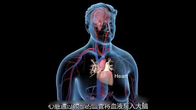 视频科普3D动画演示颅内动脉瘤病理,看完涨姿势了