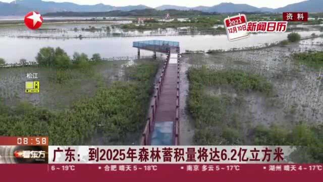 广东:到2025年森林蓄积量将达6.2亿立方米