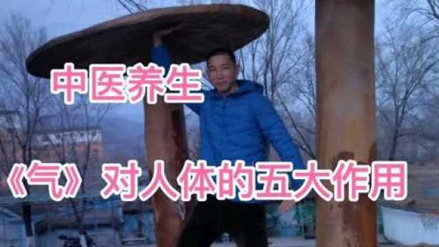 中医养生人体之《气》的五大作用