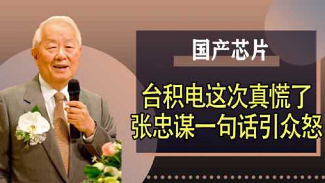 我国日产芯片突破10亿,台积电彻底慌了,张忠谋一句话惹众怒