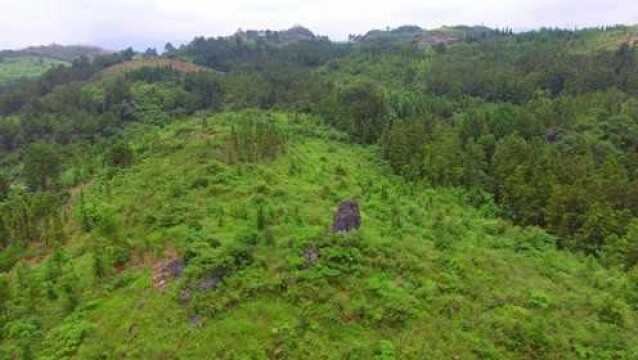 贵州大山深处发现奇特石头,像一个人站在山里,人们称为“神石”