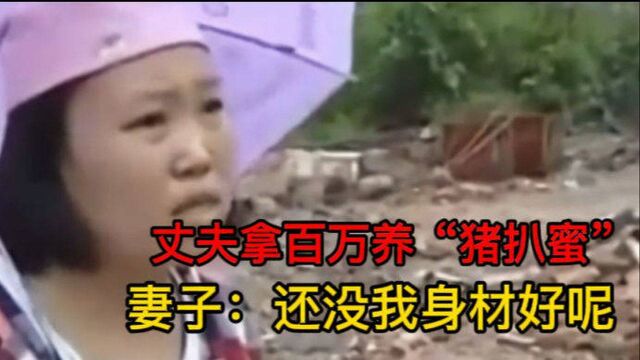 丈夫拿百万养“猪扒蜜”,妻子看到真人后直言:还没我身材好