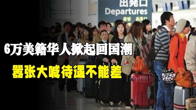 6万美籍华人掀起回国潮,嚣张大喊:“我从美国回来待遇不能差”