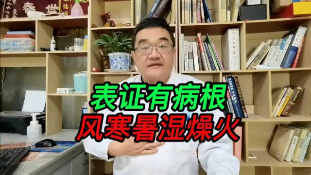 杨海波说经方:六淫是表证的病因,风寒湿三气夹杂是罪魁祸首