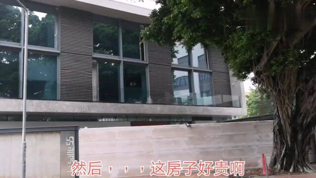 香港人的生活:实拍香港九龙塘顺丰老板王卫的豪宅,10年35亿买,现在价值15亿