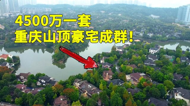 实拍重庆真实富人居住区,一套别墅4500万,山顶豪宅成群!