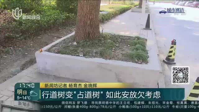 行道树变“占道树” 如此安放欠考虑