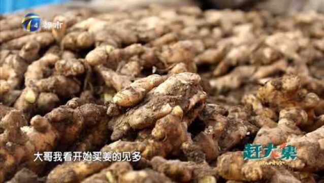 还带着“泥土芬芳”的新姜上市啦!摊主:这可是“精品姜”!