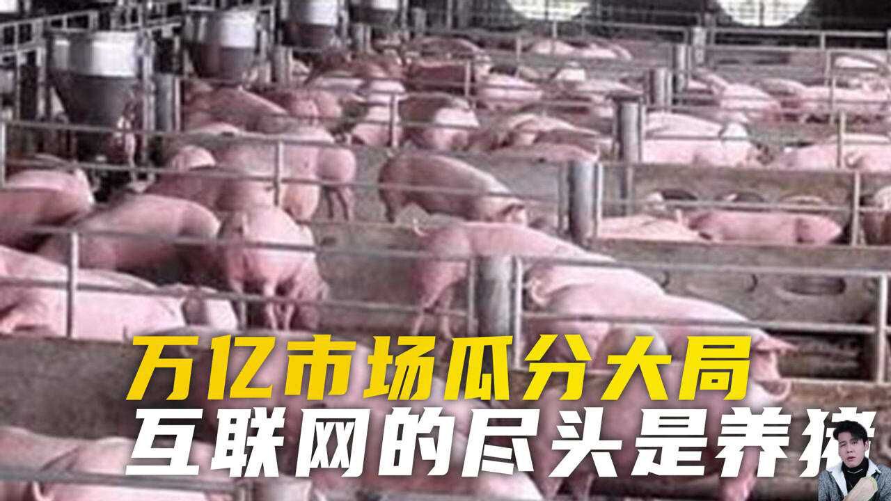 网易为何有“猪厂”之称？互联网的尽头难道是养猪_腾讯视频}