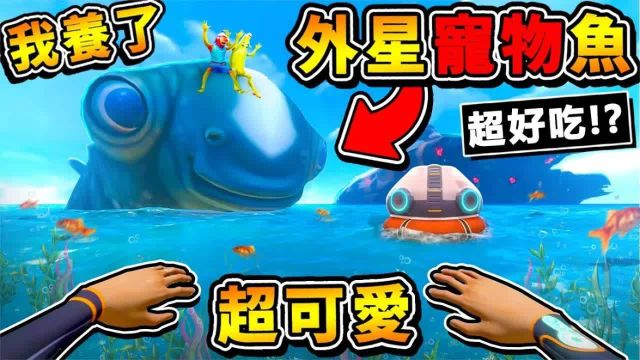 【深海迷航】我养了【外星❤宠物鱼】它居然会OO!! 全新物种.催眠怪鱼【角色被控制】差点被一口吞 XDD !! 第一季