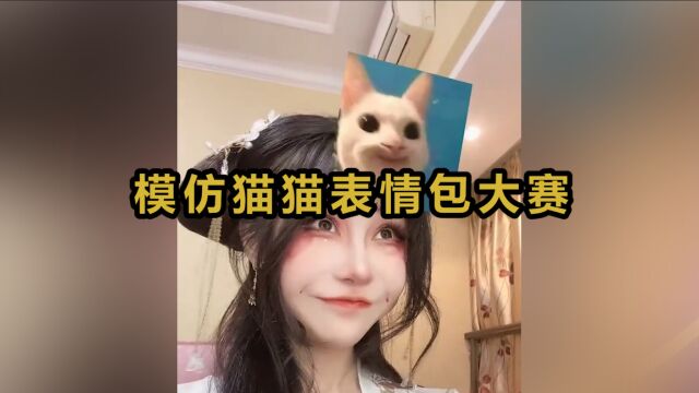 模仿猫猫表情包大赛:只能说一模一样!